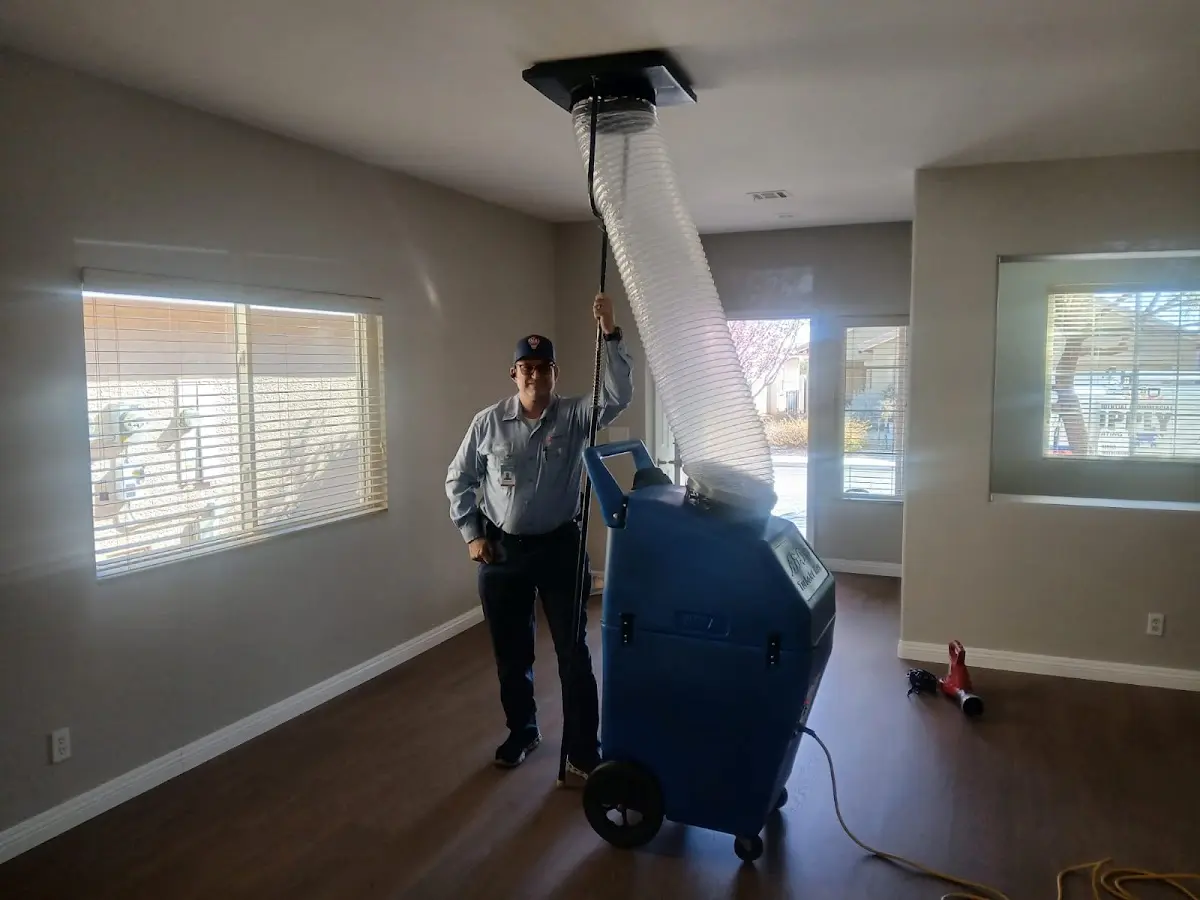 Professional Emergency HVAC Repair work inside a Lake Zurich home